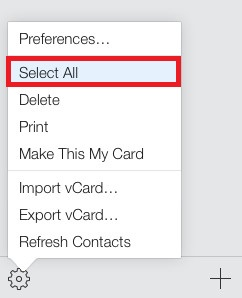Choosing «Select All»