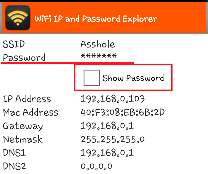 Show password